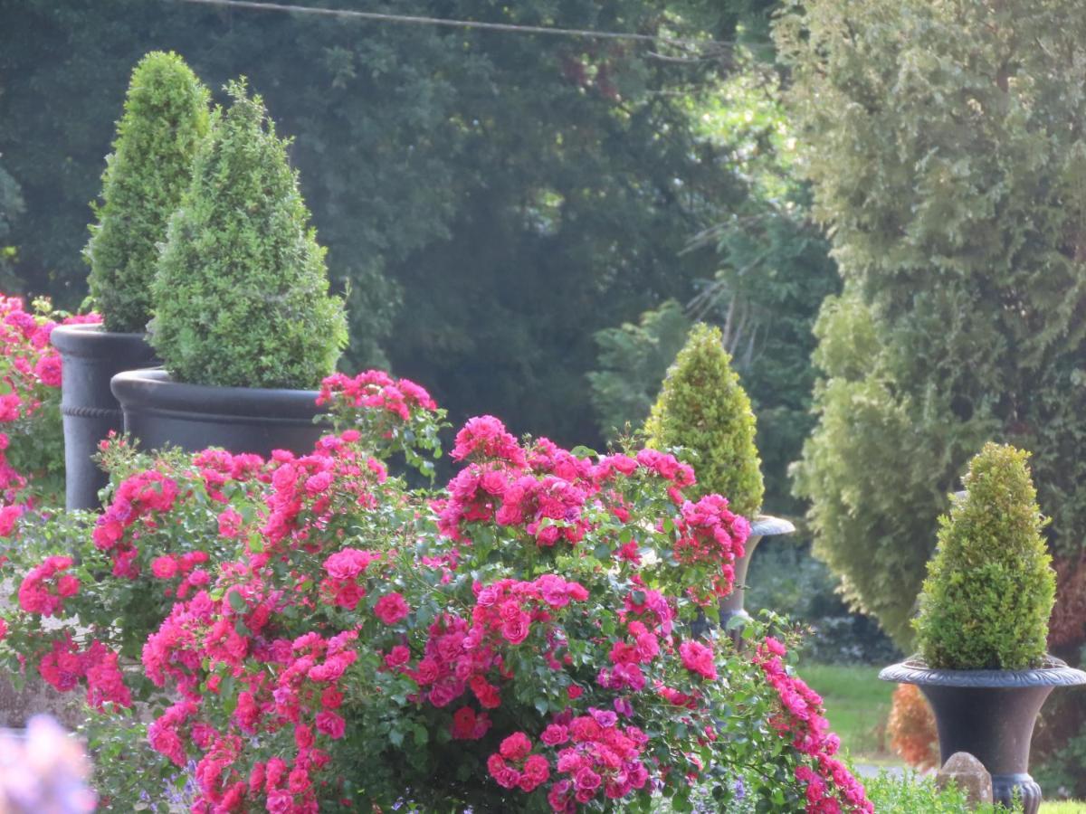 Country house Noan Cashel (Tipperary)