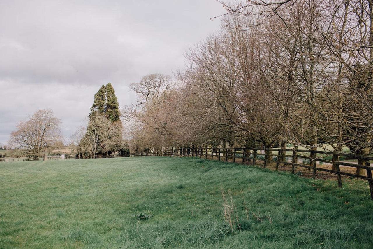 Noan * Cashel (Tipperary)